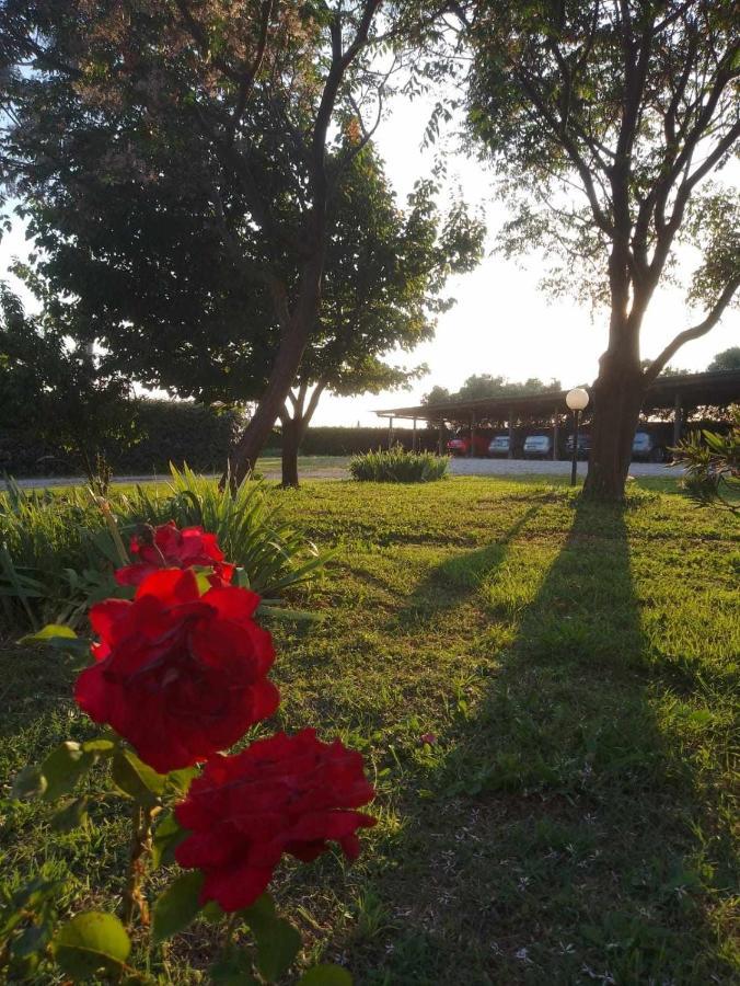Agriturismo Podere Santa Virginia Albinia Exteriör bild